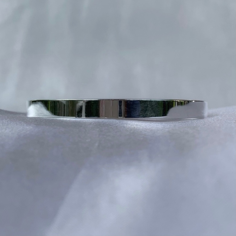 Titanium Silver Bangle